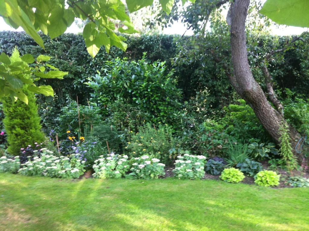 Bonningtons Stansted Self Catering Hotell Stansted Mountfitchet Rom bilde